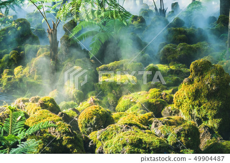 Green mos on stone while water springer spreading 49904487