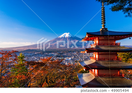 《Yamanashi Prefecture》 Asahi baths the cherry blossoms of Niikurayama Sengen Park, Chureito Pagoda, Shinsetsu Fuji 《Yamanashi Prefecture》 Asahi baths the cherry blossoms of Niikurayama Sengen Park, Chureito Pagoda, Shinsetsu Fuji 49905494