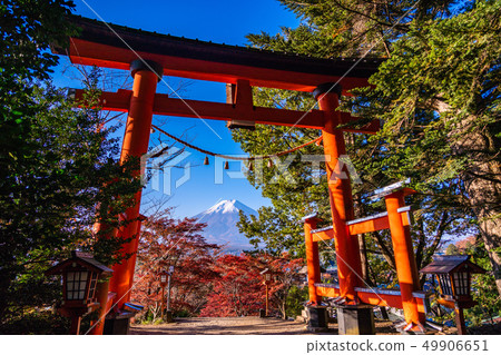 《山梨縣》鮮葉新村山公園,新鮮雪富士 《山梨縣》鮮葉新村山公園,新鮮雪富士 49906651