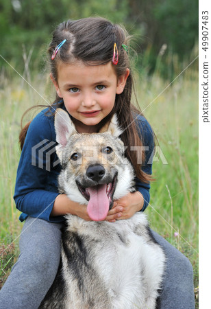 little girl and her baby wolf dog little girl and her baby wolf dog 49907483