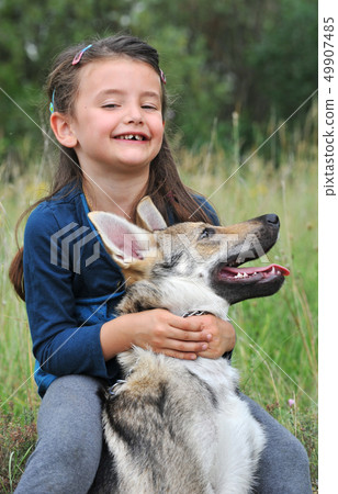 little girl and her baby wolf dog little girl and her baby wolf dog 49907485