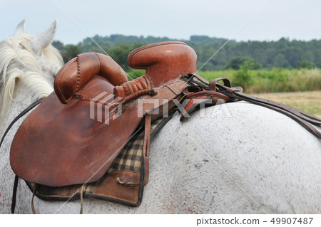 horse saddle horse saddle 49907487