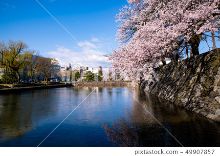 富山市的看法從堡壘Odori城堡堡壘公園2017.04 b-1的前面 富山市的看法從堡壘Odori城堡堡壘公園2017.04 b-1的前面 49907857