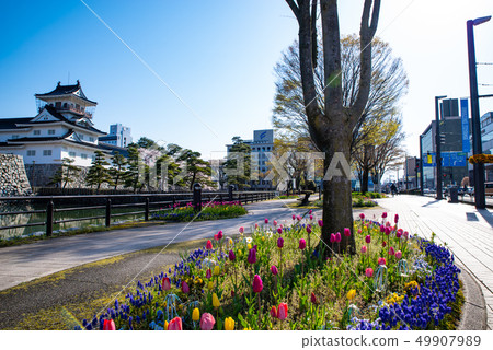 在富山縣道44號白井公園前面的風景 49907989