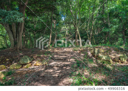 米子城堡堡Tojo路風景 米子城堡堡Tojo路風景 49908316