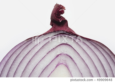 Purple onion Purple onion 49909648