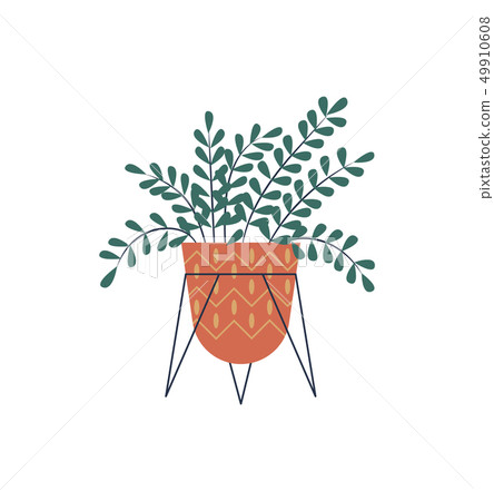 Room Plant Placed in Special Stand on Pot Isolated Room Plant Placed in Special Stand on Pot Isolated 49910608