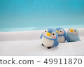 Penguin parent and child 49911870