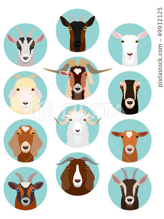 山羊型臉 山羊型臉 49912125