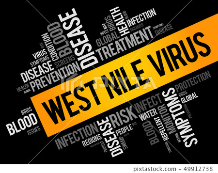 West Nile Virus word cloud collage 49912738