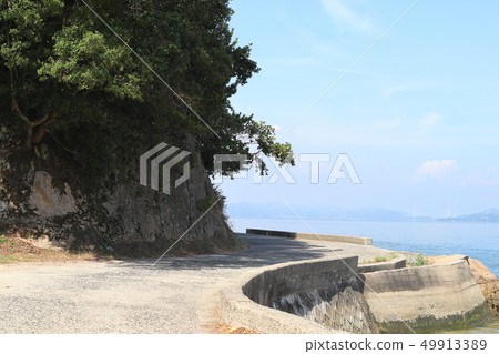 沿海公路 沿海公路 49913389