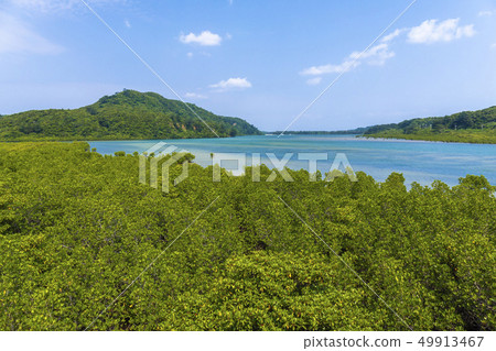 西表島的景觀 49913467