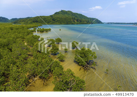 Landscape of Iriomote Island 49913470