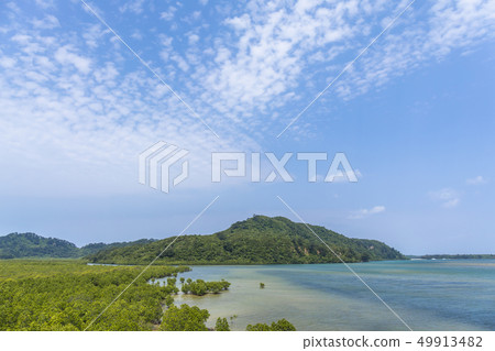 西表島的景觀 49913482