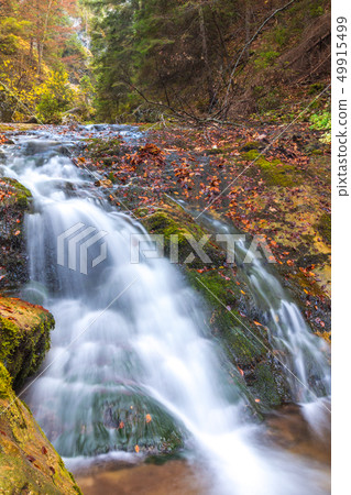 Waterfall in a forest at autumn season. 49915499