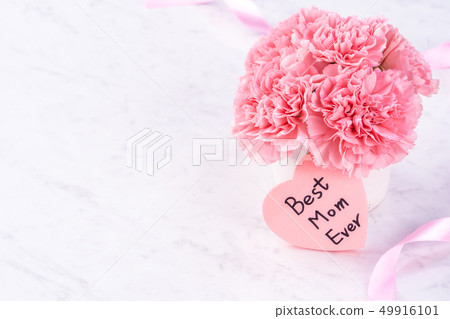 Mother's Day Yasuno Kaoru Carnation Marble Mockup Mother's Day carnation Mother's Day Yasuno Kaoru Carnation Marble Mockup Mother's Day carnation 49916101