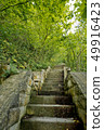 Stone stairs in the forest. 49916423