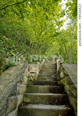 Stone stairs in the forest. Stone stairs in the forest. 49916423