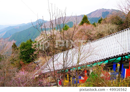 Mitakeyama cable car 49916562