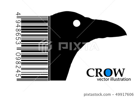 Silhouette of a crow. Silhouette of a crow. 49917606