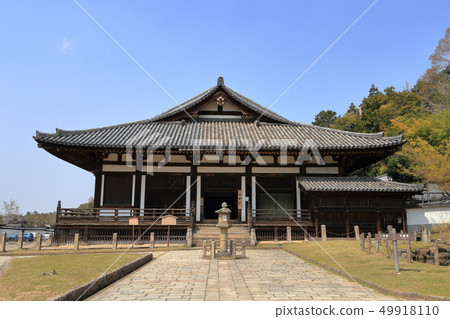 Todaiji Temple 49918110