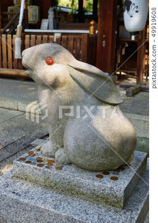岡崎神社的兔子(京都) 岡崎神社的兔子(京都) 49919608