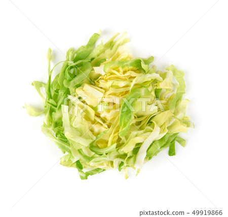 green cabbage on white green cabbage on white 49919866