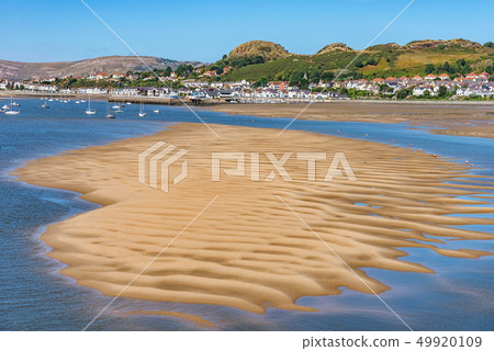 View of a sandy beach along the river 49920109