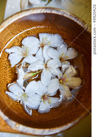 溫泉油桐花季 49920428