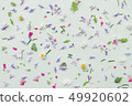Pedicel background 49920602