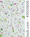 Pedicel background 49920606