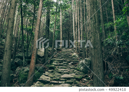 Kumano Kodo Matsumoto Pass Kumano Kodo Matsumoto Pass 49922418