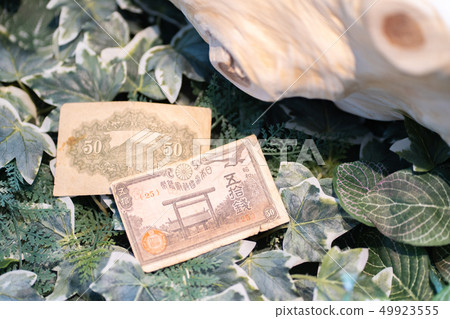 50硬幣鈔票 50硬幣鈔票 49923555
