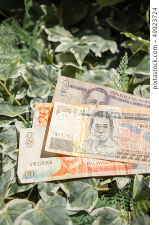 Philippine banknote peso Philippine banknote peso 49923724