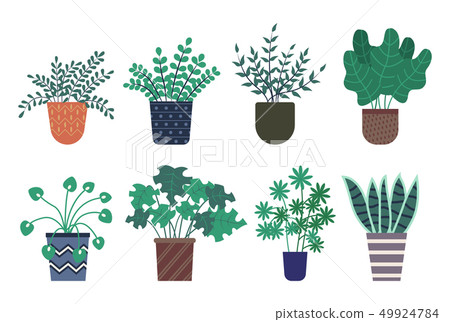 Types of Flowers in Pots, Plants in Containers Types of Flowers in Pots, Plants in Containers 49924784