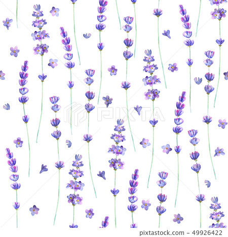 Lavender flowers watercolor seamless pattern 49926422