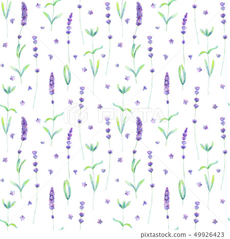 Lavender flowers, leaves and branches watercolor Lavender flowers, leaves and branches watercolor 49926423