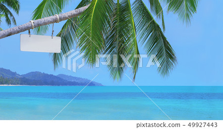 Wooden signboard on a palm tree at the beach bar Wooden signboard on a palm tree at the beach bar 49927443
