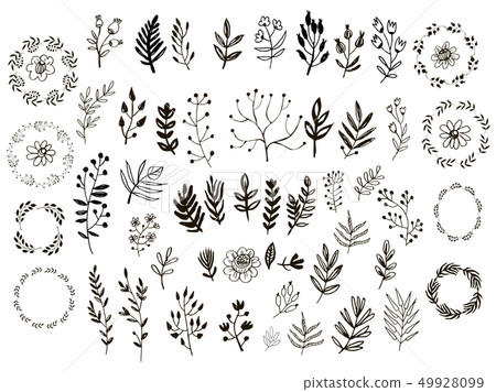 Set of herbs 49928099
