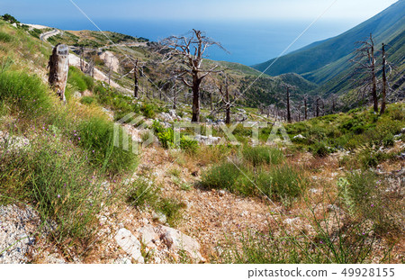 Summer Llogara pass, Albania Summer Llogara pass, Albania 49928155
