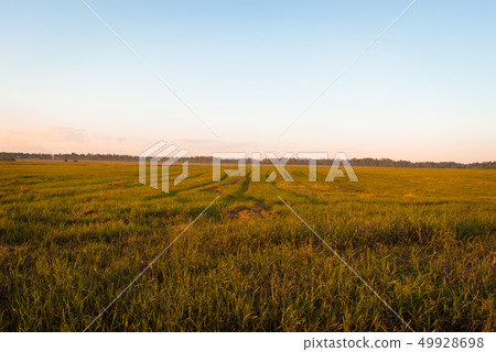 Beautiful sunset sky 49928698