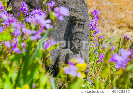 Flowers and stone statues 49928875