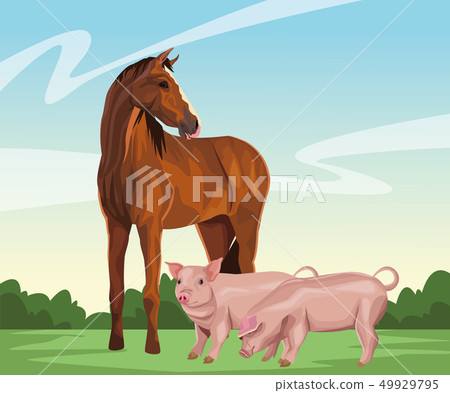 horse and pig 49929795