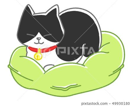 Beetle cat sitting in a trumpet with cushion Beetle cat sitting in a trumpet with cushion 49930180