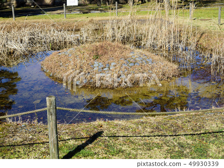 Spring water of Okayama Castle (Okayama City, Okayama Prefecture) 49930339
