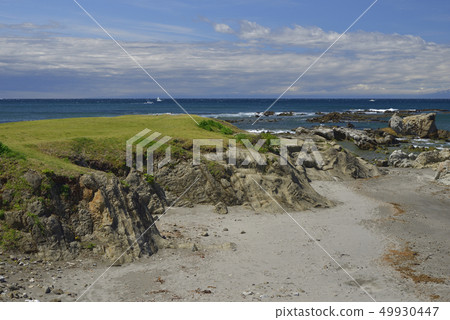 【神奈川縣】Hayama Isshiki Coast Bonito鼻子【春天】 49930447