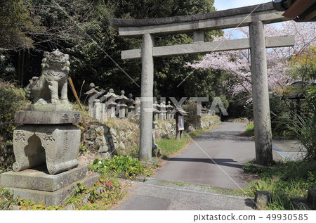 "Ushiyaguchi" of Iyo Tosa Highway, one of the Kinshara Five Highways 49930585