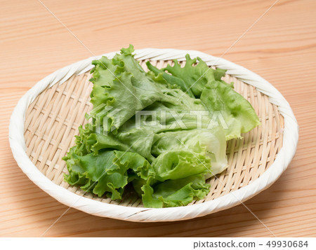 在蔬菜植物生產的褶萵苣 在蔬菜植物生產的褶萵苣 49930684