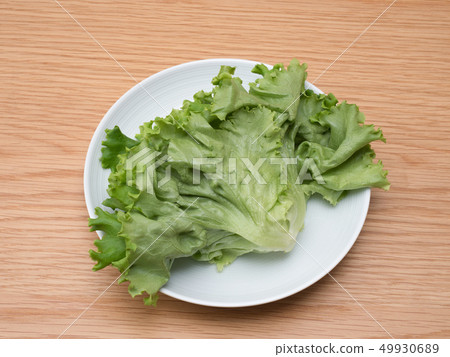 在蔬菜植物生產的褶萵苣 49930689