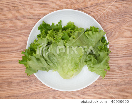 Pleated lettuce produced at a vegetable plant 49930690